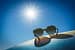 Si pripravljena na sijočo kožo? Odkrij 7 strokovnih poletnih nasvetov za tvoj ten kože. Prepreči staranje, opekline in hiperpigmentacijo