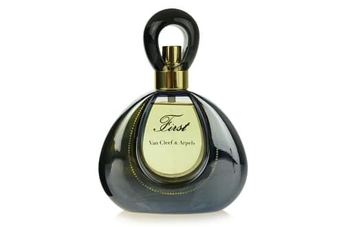 Parfum princese Diane: Odkrijte, zakaj je princ Harry to kultno dišavo vzel na terapijo in kako brezčasna klasika 'First' še danes navdušuje ljubitelje elegance.