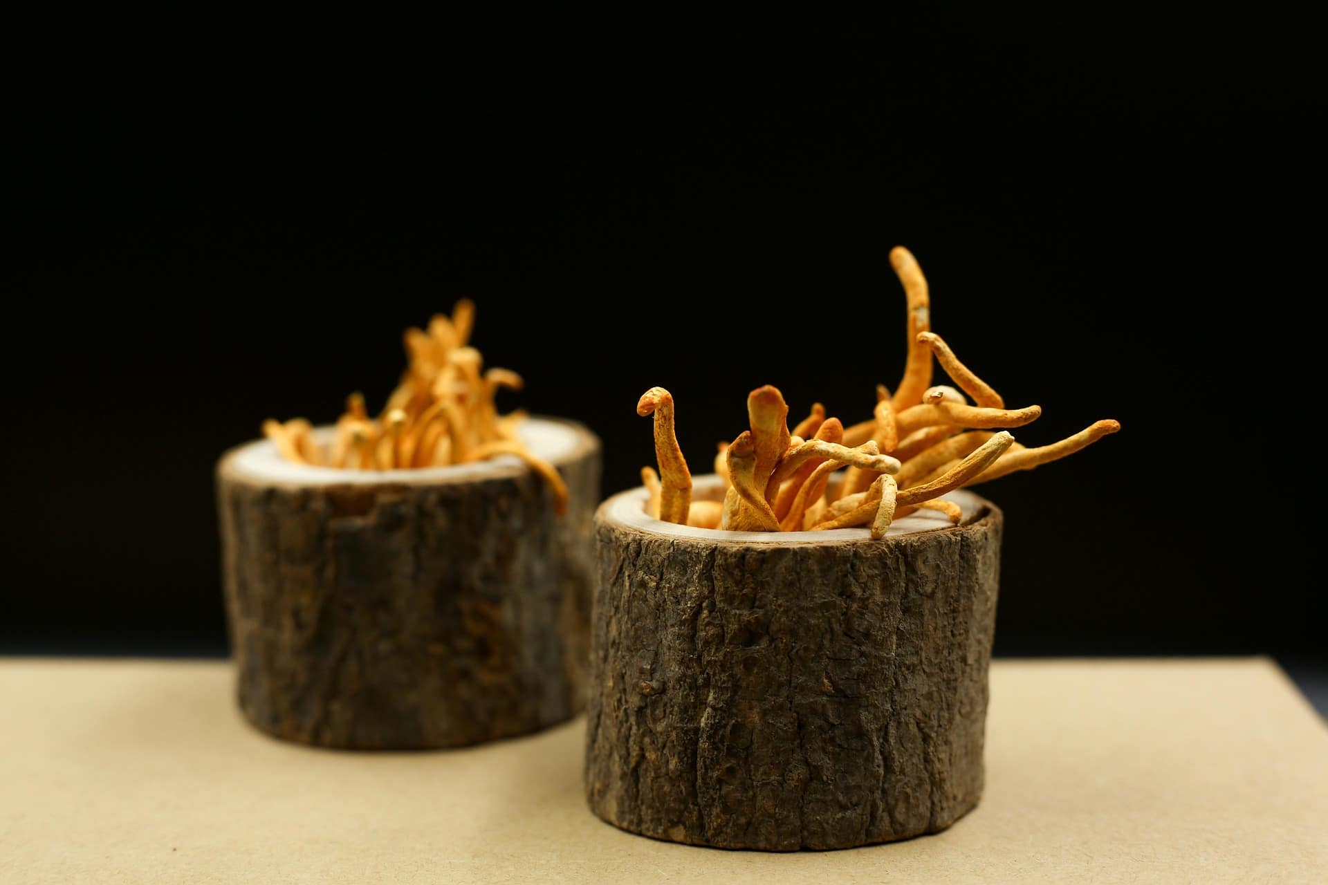 Glavatec (Cordyceps) Če kavo pijete pred športno aktivnostjo, je Cordyceps prava izbira za vas. Povečuje raven energije na celični ravni in izboljšuje vzdržljivost.