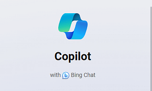 Bing Copilot