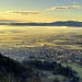 Slovenija je 4. najvarnejša država na svetu! 🇸🇮 Odkrijte, zakaj v času svetovnih konfliktov blestimo na Globalnem indeksu miru in kaj to pomeni za naš vsakdan